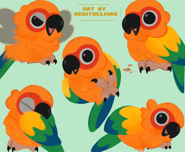 Birb Birb