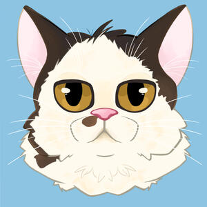 cat cat
