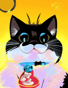 cat cat